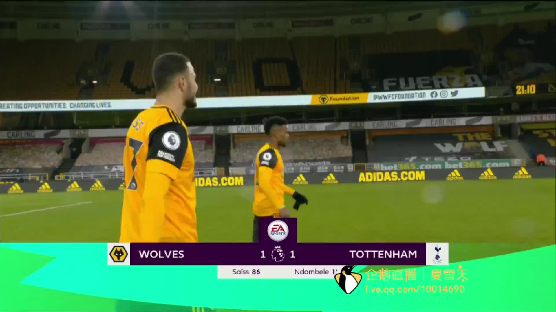 教练阿莱格 教练阿莱格