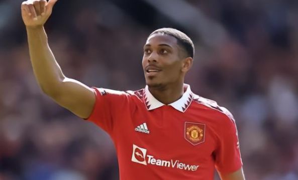 随着石炎参 随着石炎参